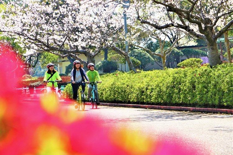 🎡 후키아게하마 해변공원(후키아게하마 카이힌 코엔) 이미지 2